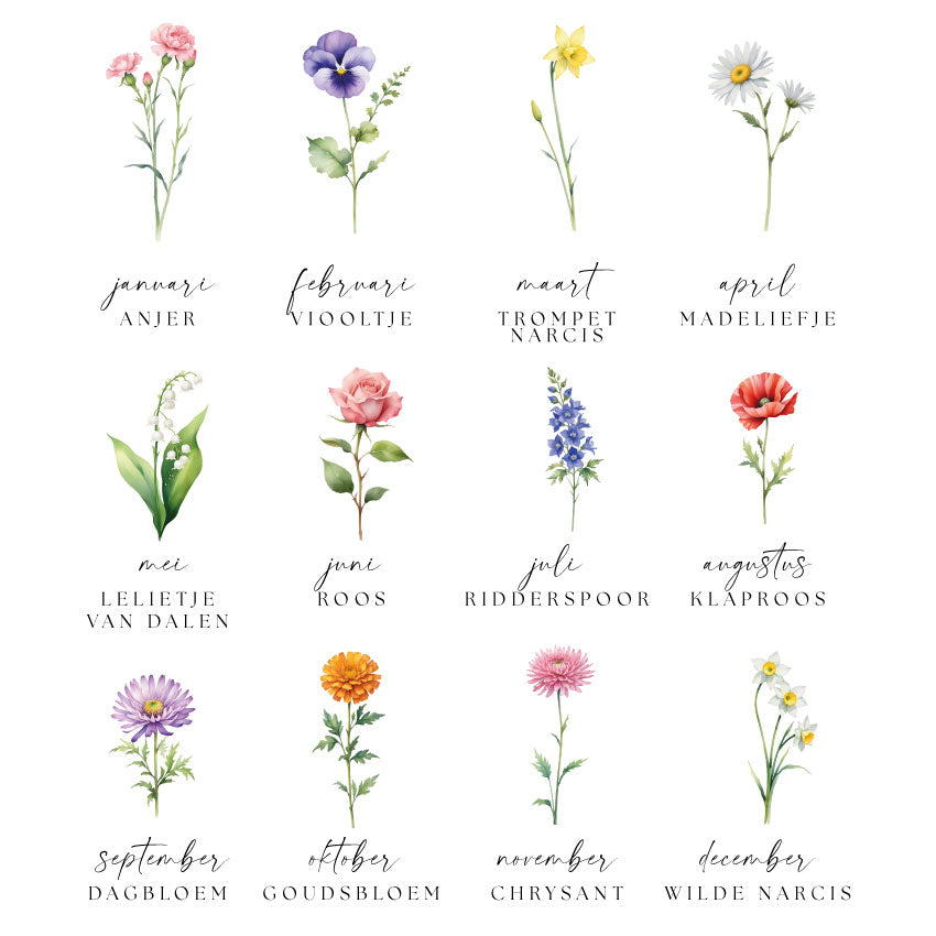 Geboortebloemen poster met namen: keuzeopties voor het ontwerp op maat