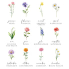 Geboortebloemen poster met namen: keuzeopties voor het ontwerp op maat